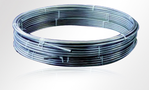 ����鿴��