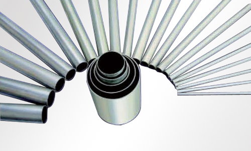 ����鿴��